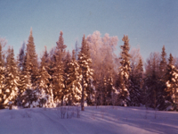 2E0A688E-4620-4DE4-B080-CEC3C048AD90-902-00000085E7AB2725.png