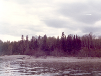 36BD6511-DDA6-40C6-A7B3-61BA084D2330-902-00000085CA6F42EF.png