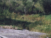 370B2DED-2515-4D39-8CD0-8F03E2CEC984-902-00000085DF0683B1.png