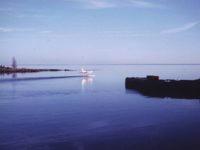 4501630D-7EEE-4257-BC6A-91D35CA63C15-902-00000085D7785E50.png