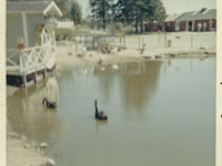 1969-07-19-Honeymoon34BarHarbourMaine.jpg
