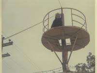 1969-07-26-Honeymoon92NiagaraFalls.jpg