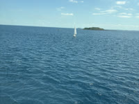 IMG_8604.jpg