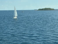 IMG_8605.jpg