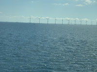 IMG_8621.jpg