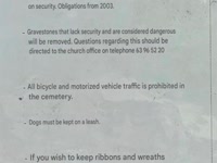 IMG_0291.JPEG