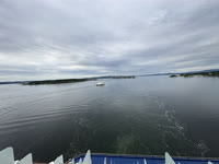 IMG_8198.jpg