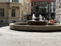IMG_8224.jpg