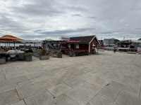 IMG_8244.jpg