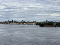 IMG_3555.jpg