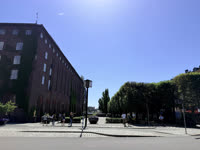 IMG_3590.jpg