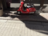 IMG_8273.jpg