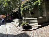IMG_8299.jpg