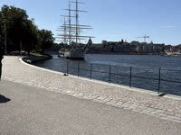 IMG_8309.jpg