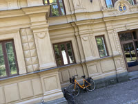 IMG_8312.jpg