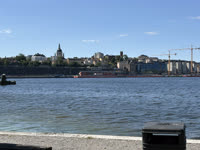 IMG_8316.jpg