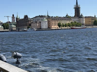 IMG_8369.jpg