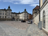 IMG_8379.jpg