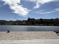 IMG_8385.jpg