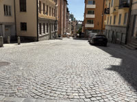 IMG_8406.jpg
