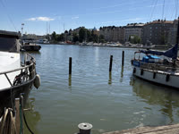 IMG_8440.jpg