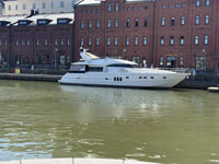 IMG_8444.jpg