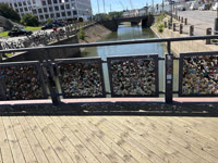 IMG_8447.jpg
