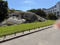 IMG_8457.jpg