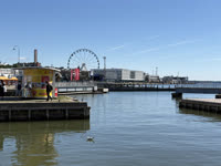 IMG_8466.jpg