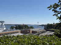 IMG_8474.jpg