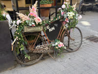 IMG_8505.jpg