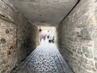 IMG_3773.jpg