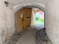 IMG_3776.jpg