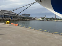 IMG_8511.jpg