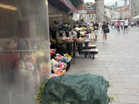 IMG_8515.jpg