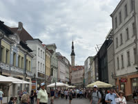 IMG_8519 2.jpg