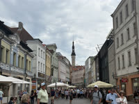 IMG_8519.jpg