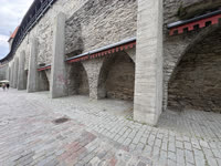 IMG_8520.jpg