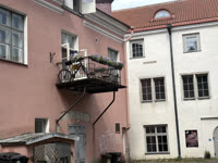 IMG_8531.jpg