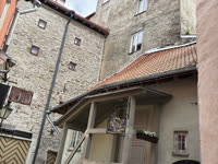 IMG_8543.jpg
