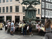 IMG_8719.jpg