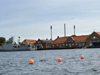 IMG_8777.jpg