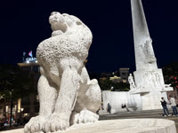 IMG_8933.jpg
