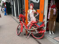 IMG_8937.jpg